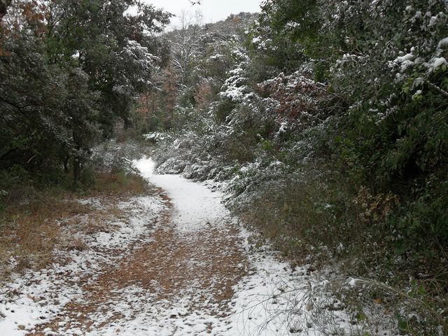 SDC10528 [640x480].JPG